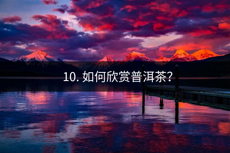 ? 10. 如何欣賞普洱茶？