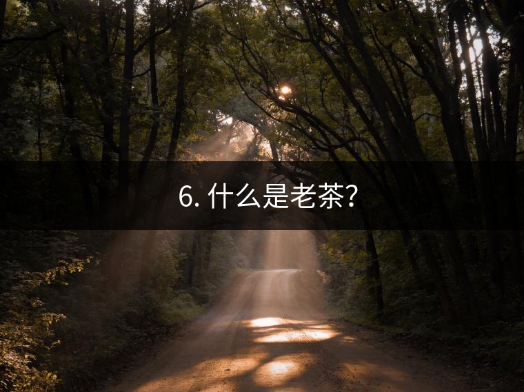 ? 6. 什么是老茶？