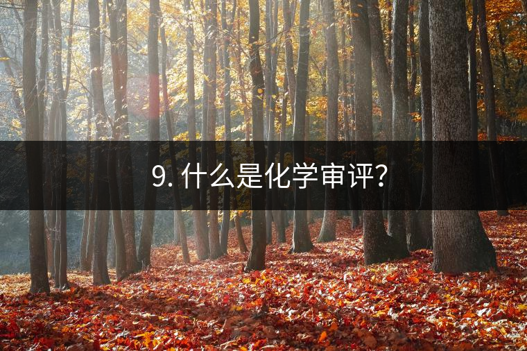 ? 9. 什么是化學(xué)審評(píng)？