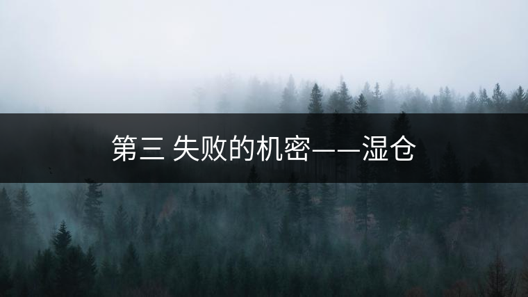 第三 失敗的機(jī)密——濕倉