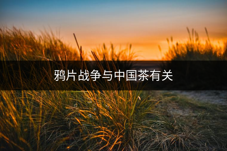 美國(guó)獨(dú)立戰(zhàn)爭(zhēng)的導(dǎo)火線是因?yàn)橹袊?guó)的茶葉！