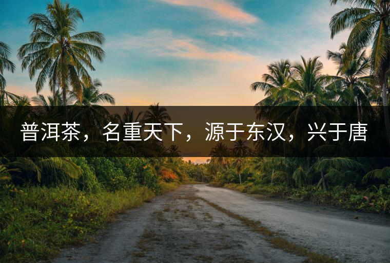 普洱茶，名重天下，源于東漢，興于唐宋，盛于明清。