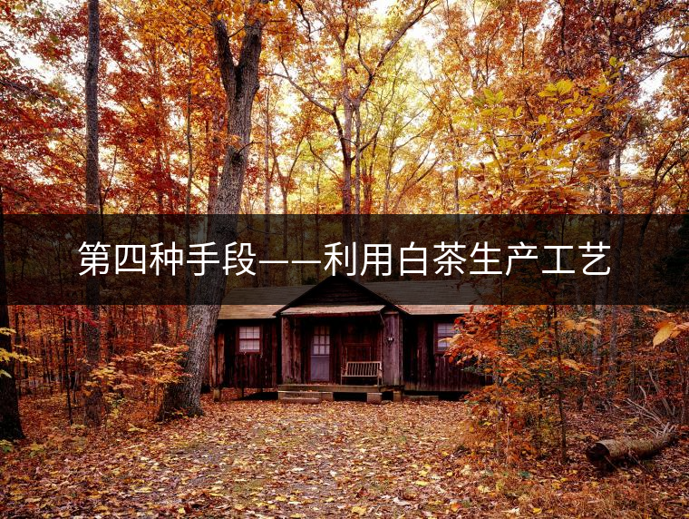 第四種手段——利用白茶生產(chǎn)工藝