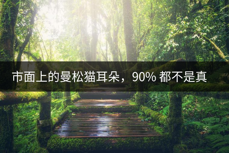 市面上的曼松貓耳朵，90% 都不是真的