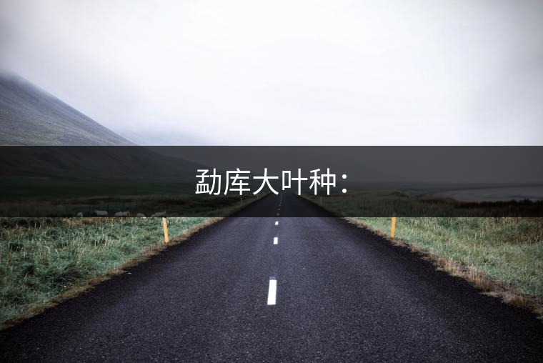 勐庫(kù)大葉種：