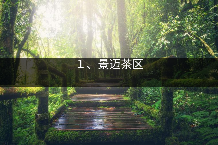 ２、南糯山茶區(qū)
?