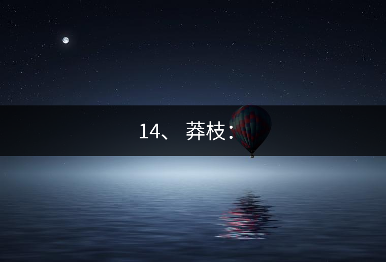 14、 莽枝：?