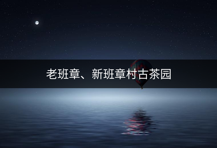 老班章、新班章村古茶園