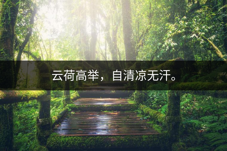 云荷高舉，自清涼無汗。