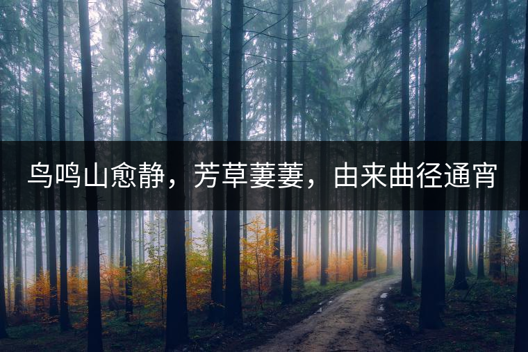 鳥鳴山愈靜，芳草萋萋，由來曲徑通宵漢。