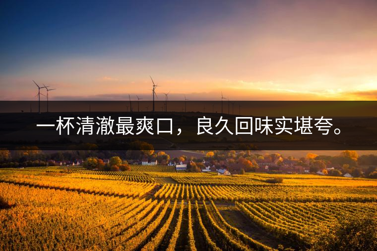 若能一日車船至，從此美名滿天涯。