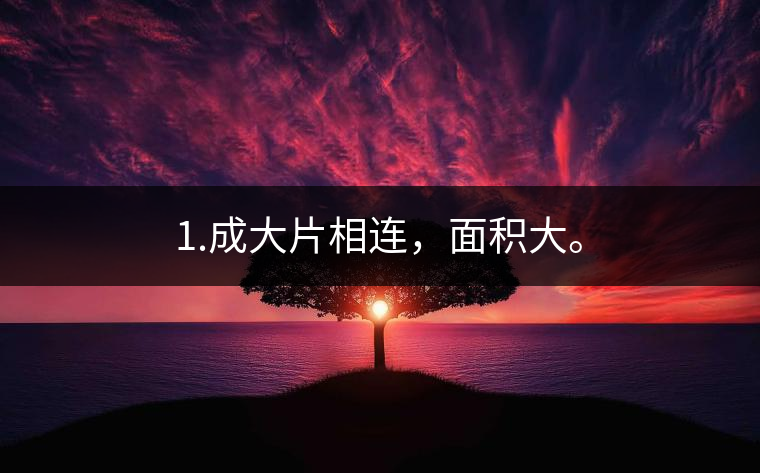 1.成大片相連，面積大。