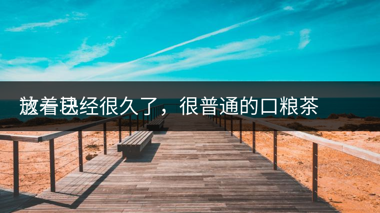 這一塊
放著已經(jīng)很久了，很普通的口糧茶，煙味很重，但回甘也可以，隨意喝喝吧。