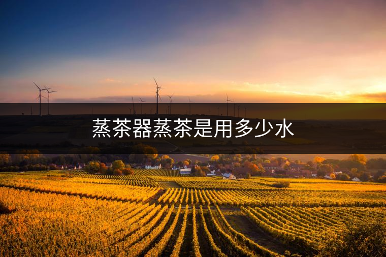蒸茶器蒸茶是用多少水 蒸茶器蒸茶是用多少水