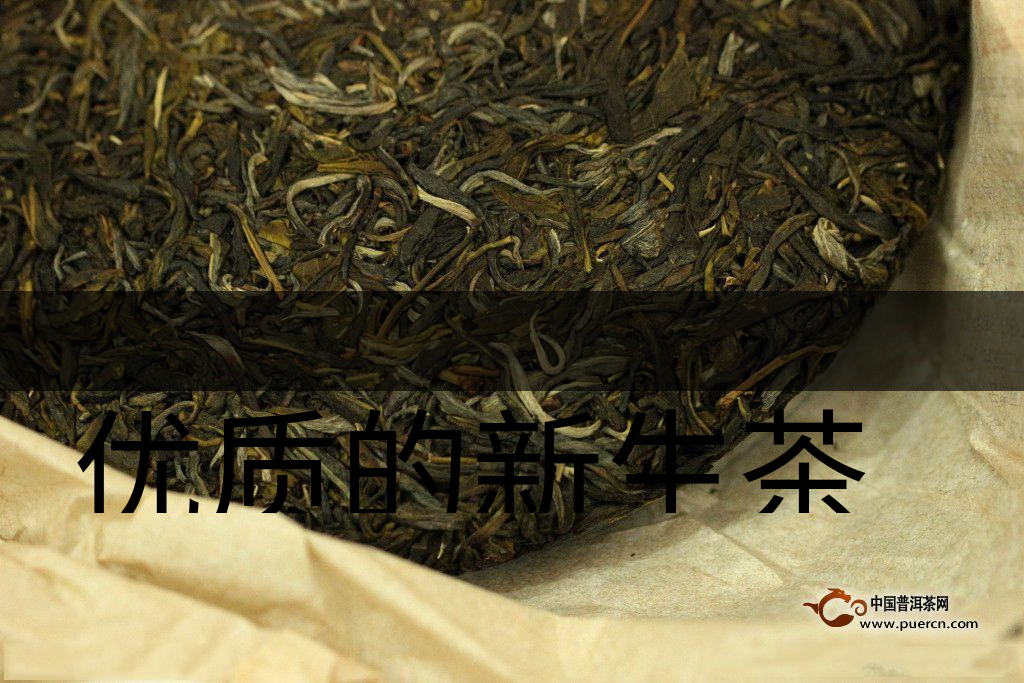 優(yōu)質(zhì)的新生茶是什么樣的？
