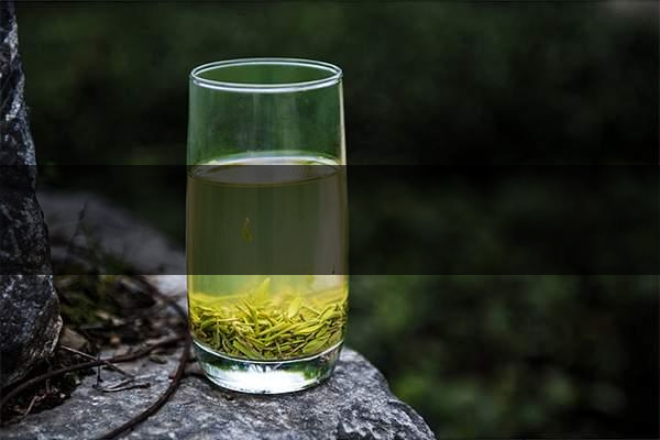 pick春茶攻略！