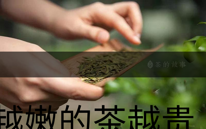 越嫩的茶越貴，但越貴的茶就越好嗎？