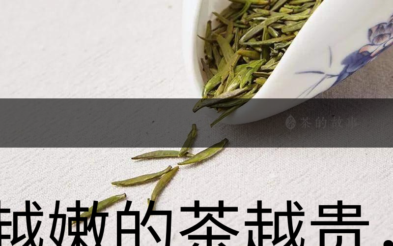 越嫩的茶越貴，但越貴的茶就越好嗎？-1