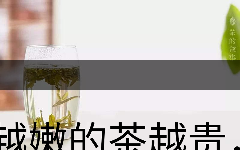 越嫩的茶越貴，但越貴的茶就越好嗎？-2