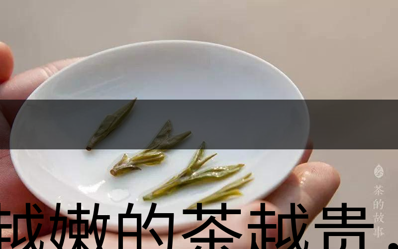 越嫩的茶越貴，但越貴的茶就越好嗎？-3