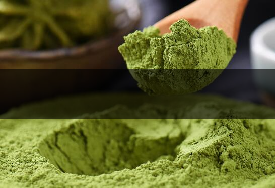 制作茶粉的工序和步驟-2
