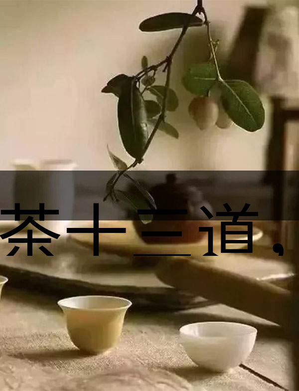 喝茶十三道，道道皆精華！-2