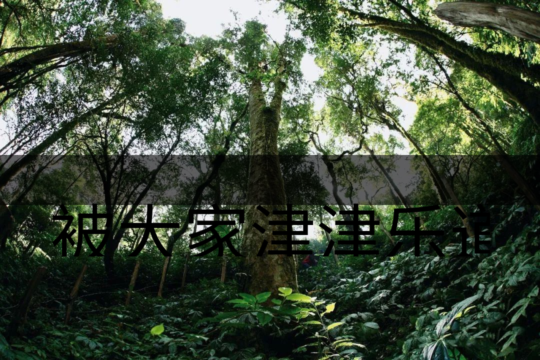 被大家津津樂道的森林茶，你知道是什么？-6-1