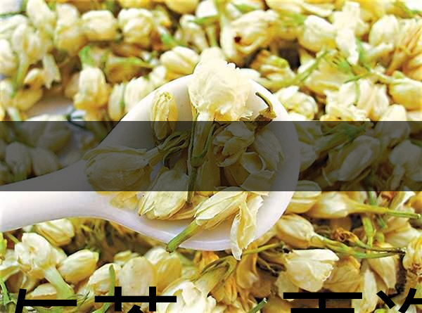 花與茶，再造茉莉之都——福州-1