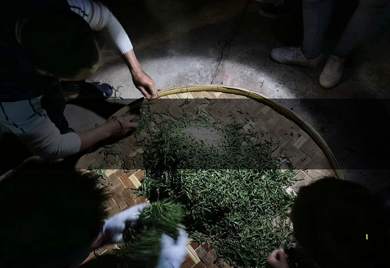 20220302154625405001