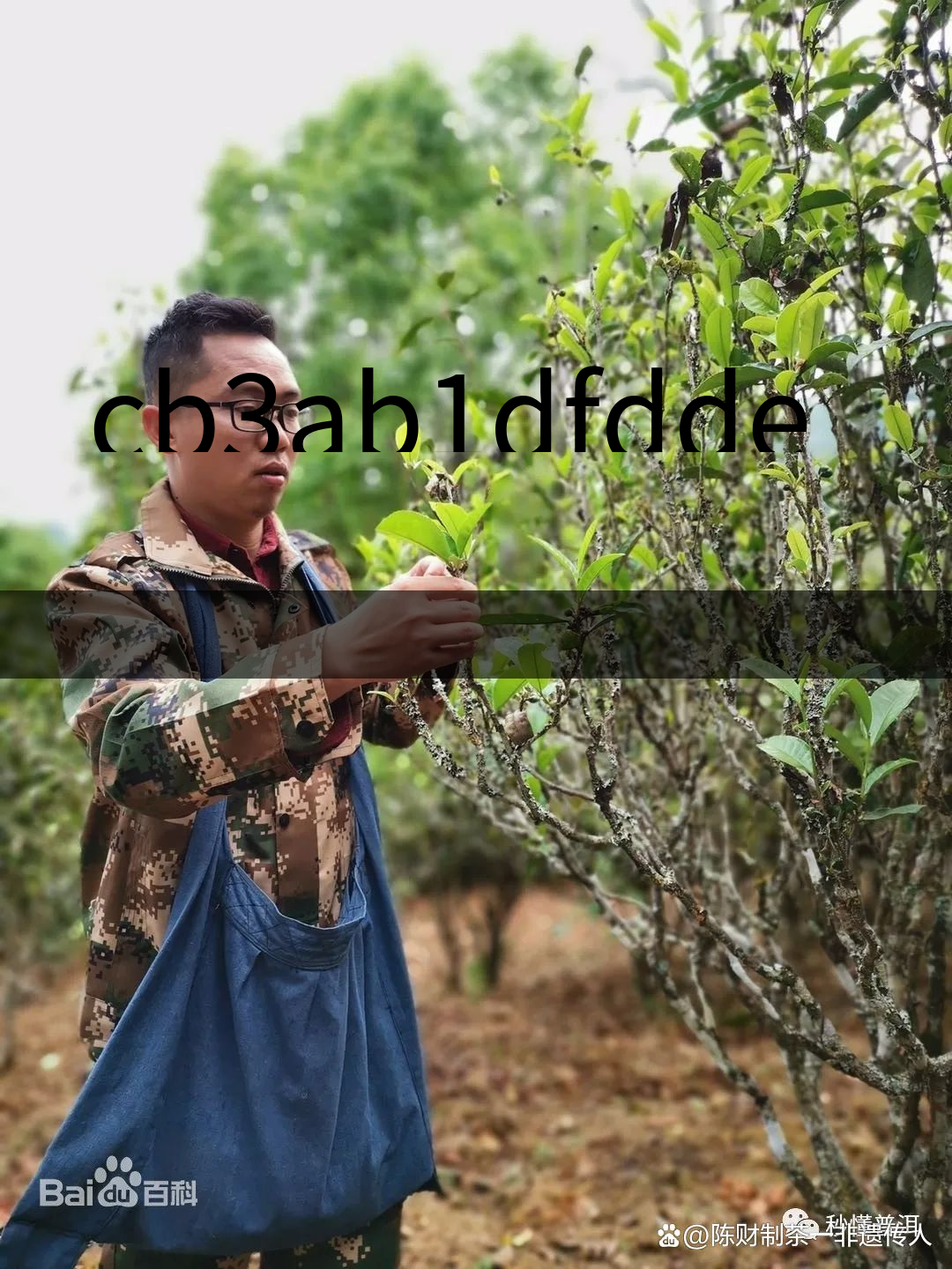 cb3ab1dfdde2114aa5dad24b830c6d96 cb3ab1dfdde2114aa5dad24b830c6d96