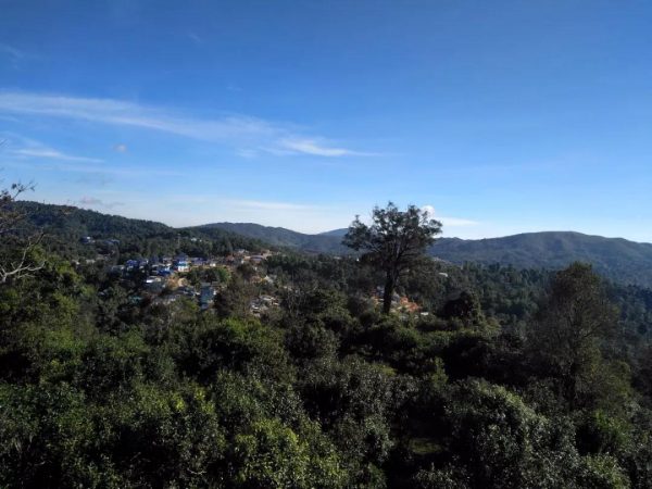 蘭香賀開，甘甜賀開