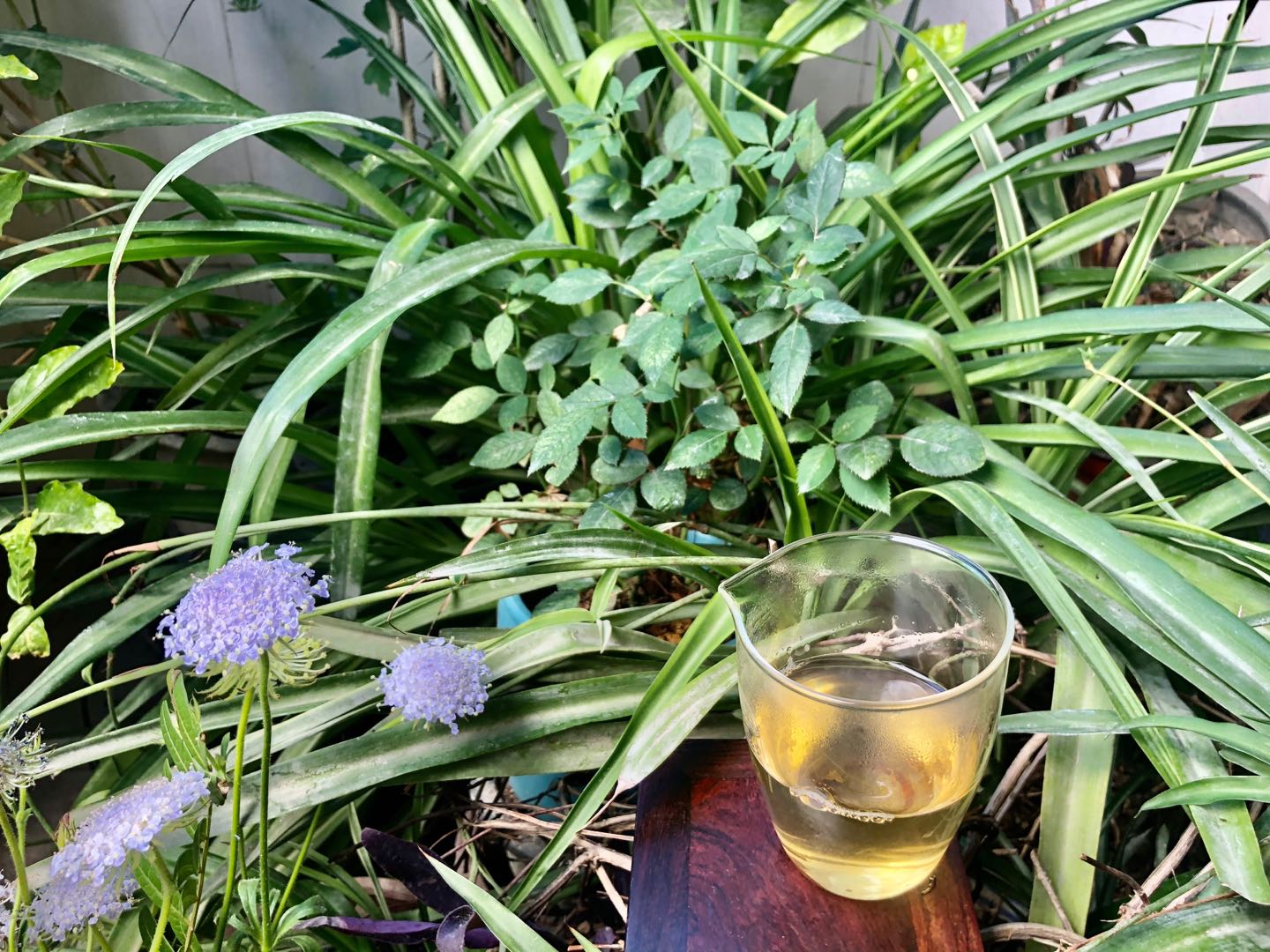 中國這么多茶類，你覺得哪種茶最好喝？