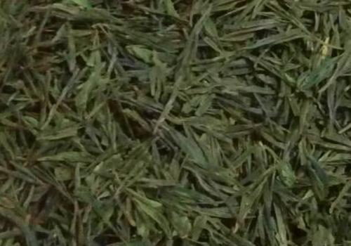 什么是海青茶？沖泡手法詳細(xì)教學(xué)！