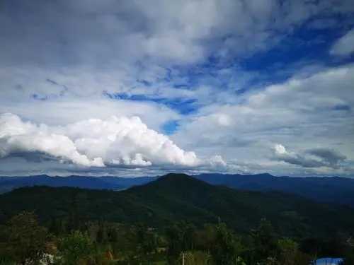 2021年那罕古樹秋茶口感？