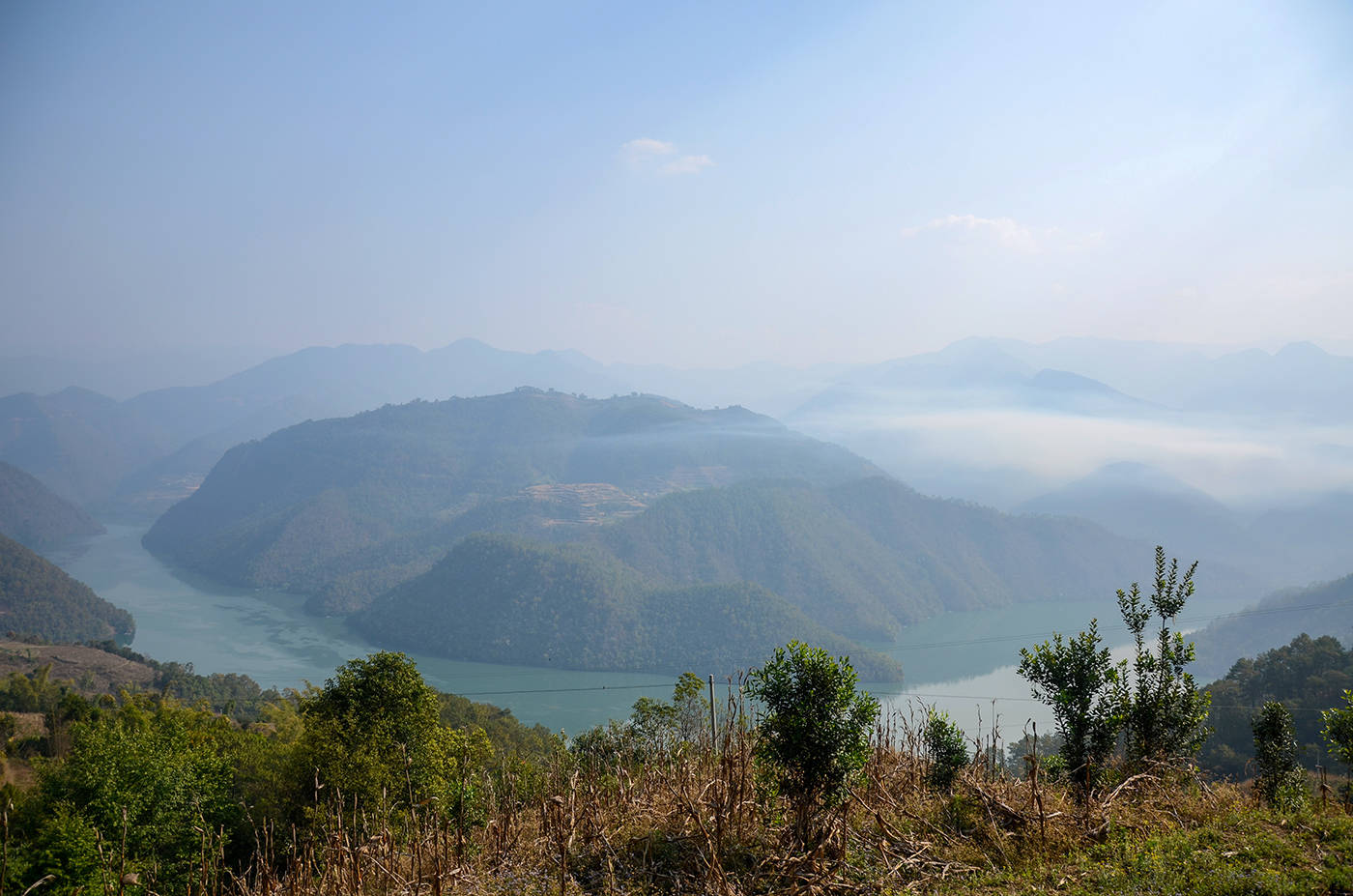 2021年白鶯山古樹秋茶，佛茶有什么魅力？
