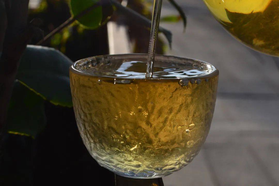 2021班章茶區(qū)壩卡竜古樹(shù)秋茶口感是什么？