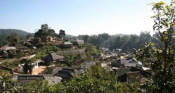 2021年班章茶區(qū)壩卡竜古樹秋茶多少錢一公斤？