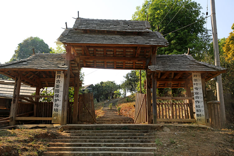 2021年賀開古樹秋茶特點(diǎn)？