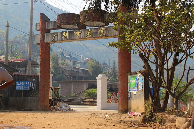 2021年廣別老寨古樹秋茶口感？