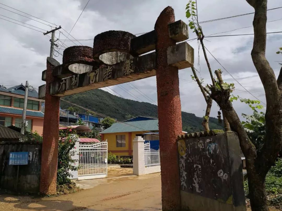 2021年廣別老寨古樹秋茶多少錢一公斤？