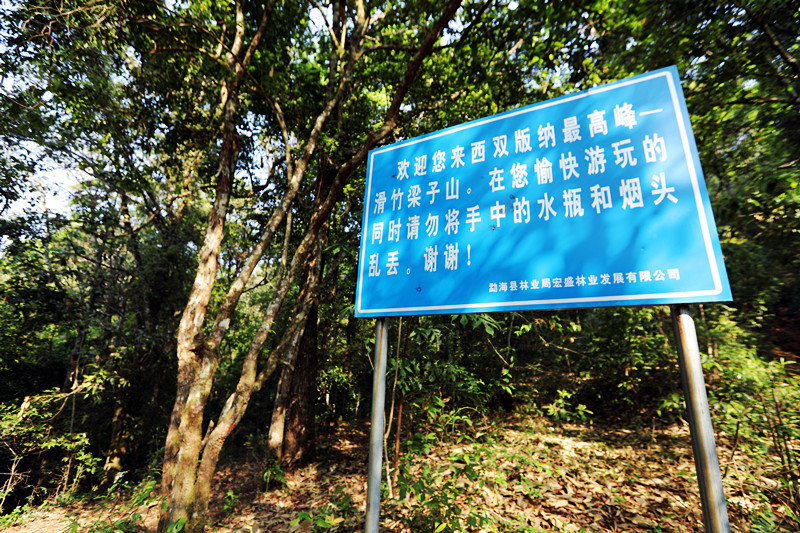 2021年滑竹梁子古樹秋茶價(jià)格？