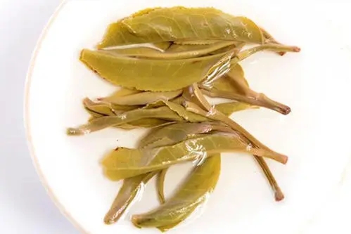 2021年南糯山拔瑪老寨古樹秋茶多少錢一公斤？