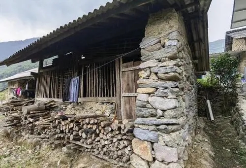 2022年景谷黃草壩古樹春茶特點(diǎn)是什么？