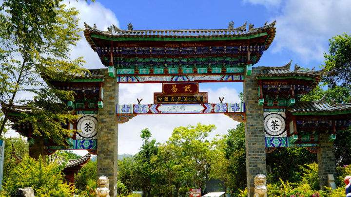 2022年易武正山在哪？易武正山是什么意思？