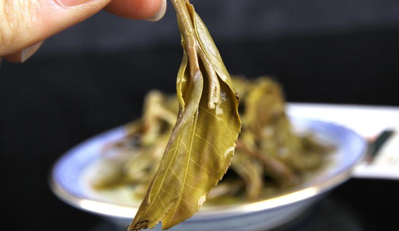 2022年冷水河古樹(shù)春茶價(jià)格？