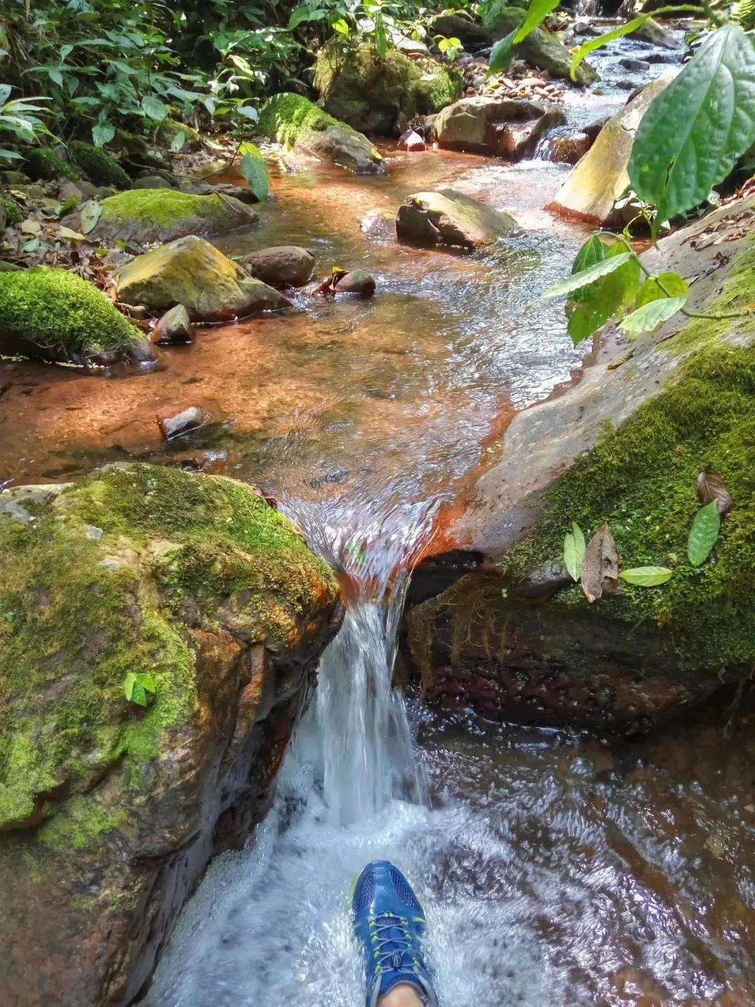 2022年銅箐河古樹春茶多少錢一公斤？