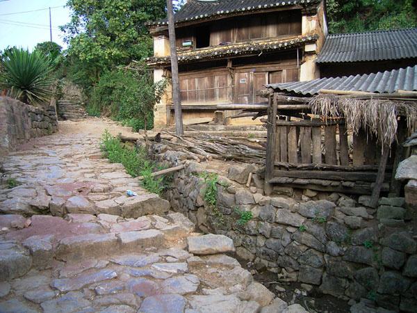 2022年蠻磚古樹春茶特點？