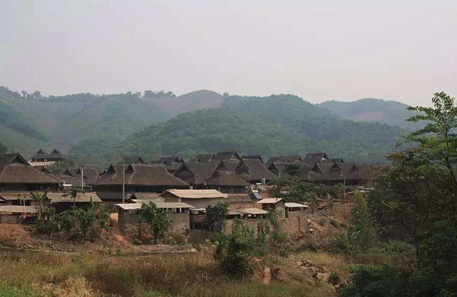 2022年革登古樹(shù)春茶特點(diǎn)？