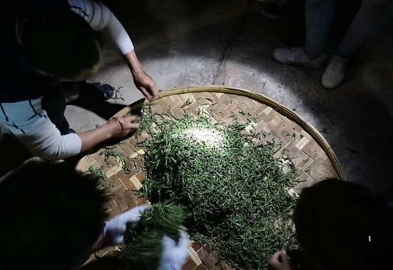 普洱茶非遺傳承人陳財，一鍋茶炒出10萬元
