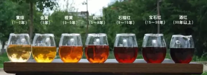 2022年普洱茶的茶湯湯色要怎么描述？